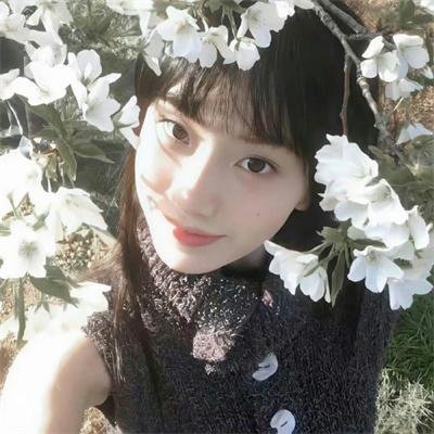 桃花坞开放中第四季